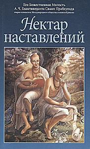Nectar of Instructions