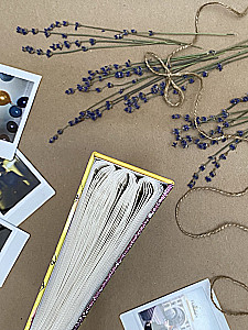 Photo album for 100 photos - Cosmo sketch. Fireflies (10x15)