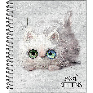 Notebook - Eye-catching Kittens