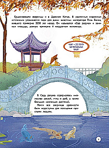 Зоопарк. Звериная история