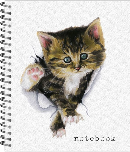 Notebook - Hi there