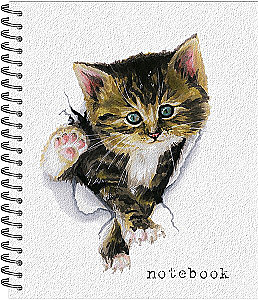 Notebook - Hi there