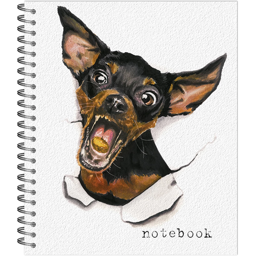 Notebook - Hi there