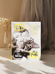 Фотоальбом на 100 фото - Fluffy pets. Мяу (10х15)