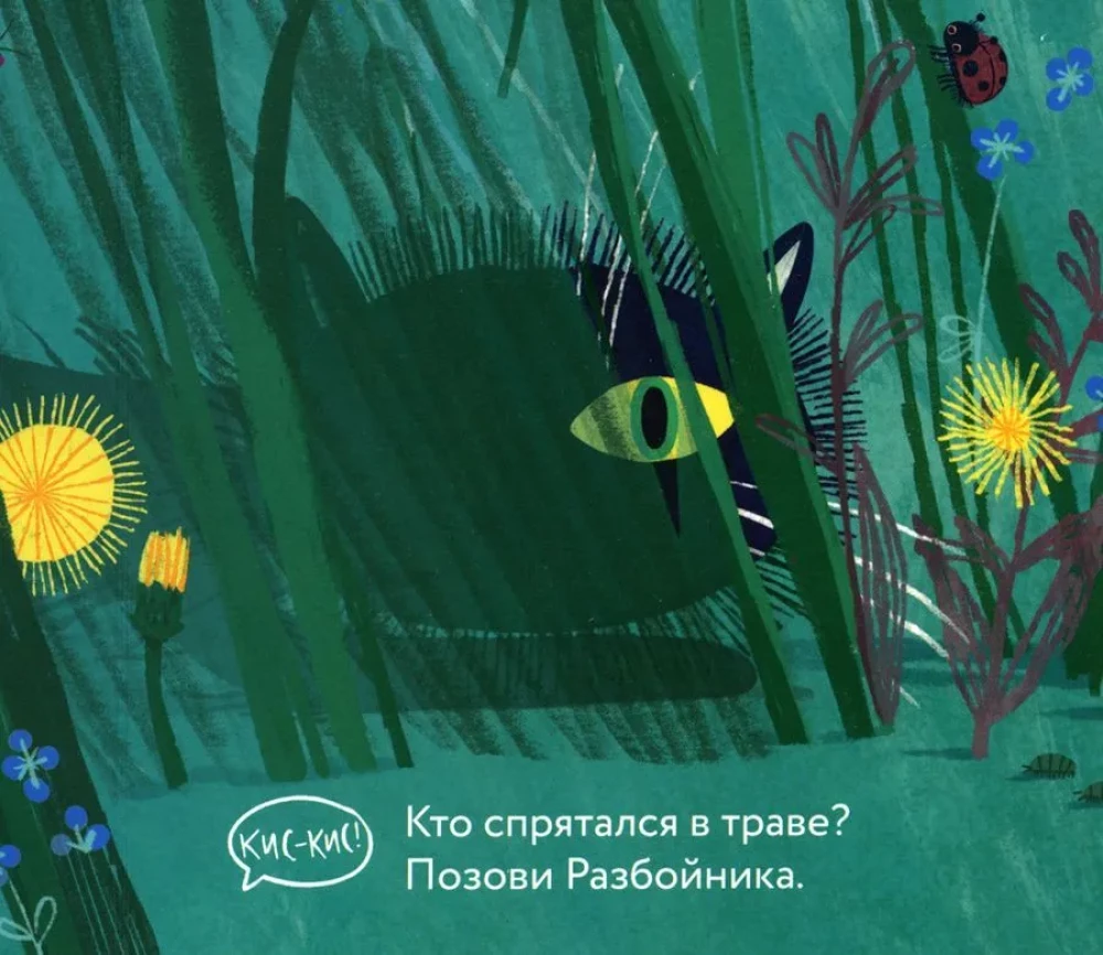 Эй, Разбойник!