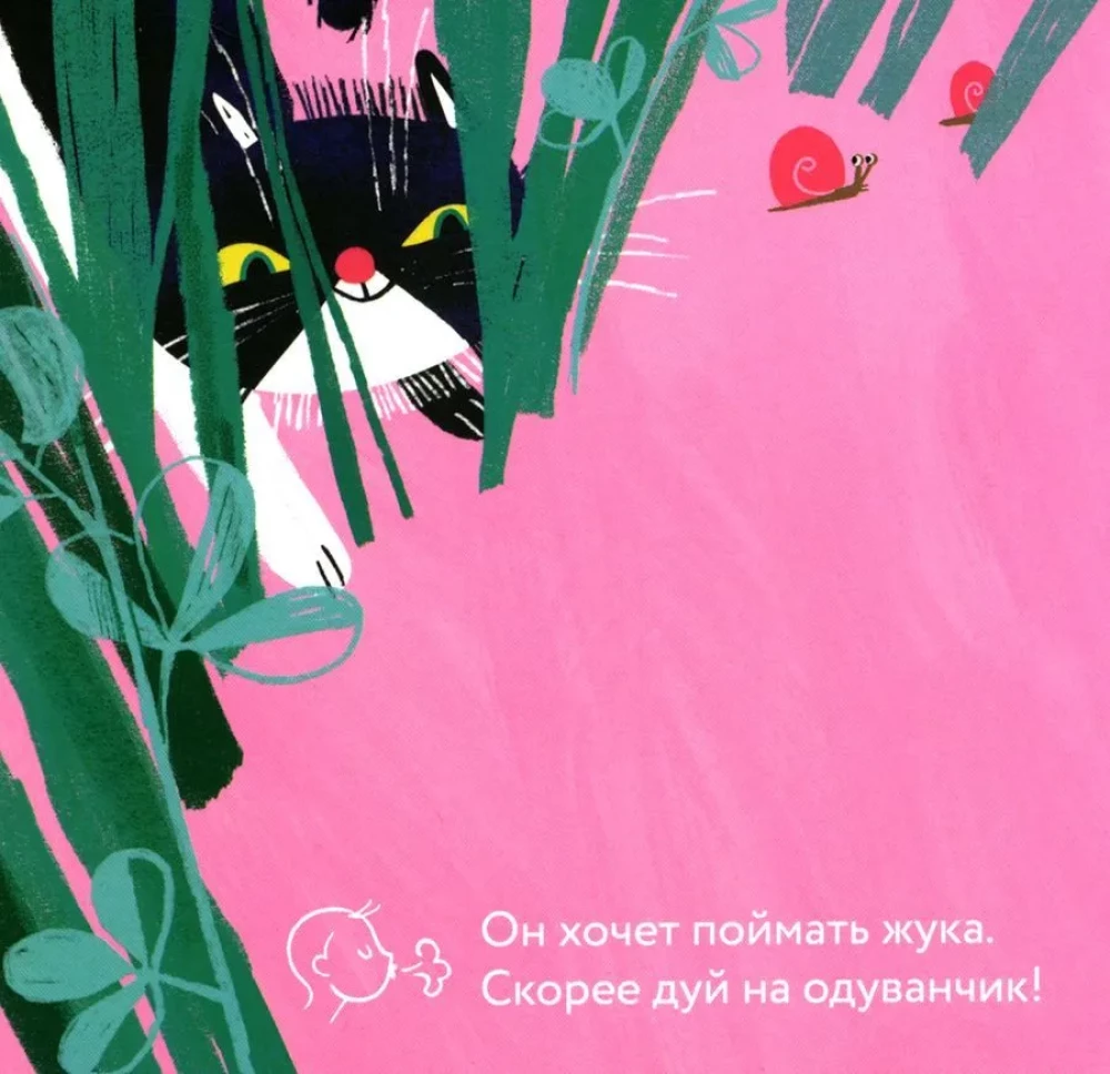 Эй, Разбойник!