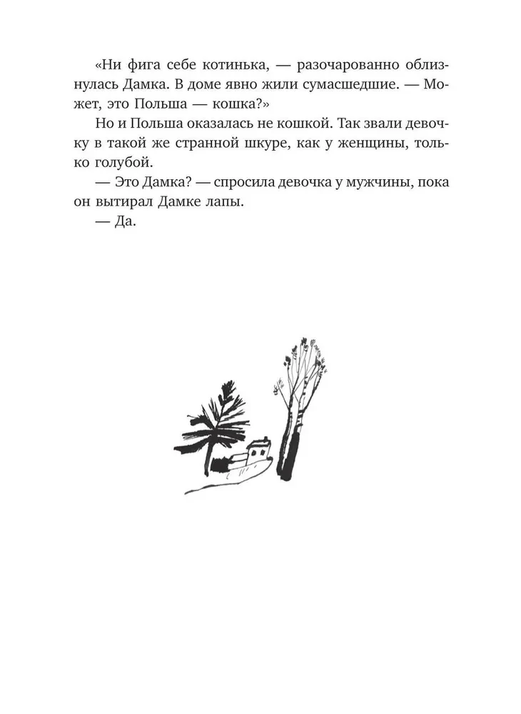 The Lame Dog, or Several Days in the Life of Cassiopeia Kirpichnikova
