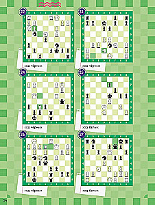 School Chess Club. Learning to Play Chess. Problem Book
