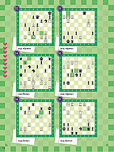 School Chess Club. Learning to Play Chess. Problem Book