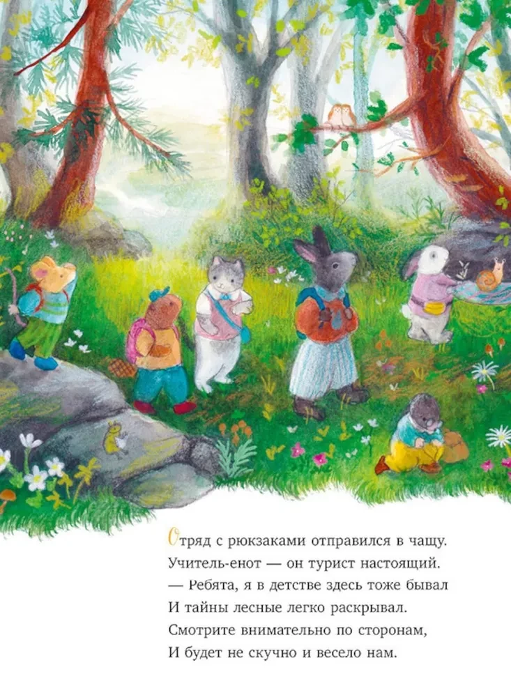 Tales of the Old Forest. A Walk in the Forest