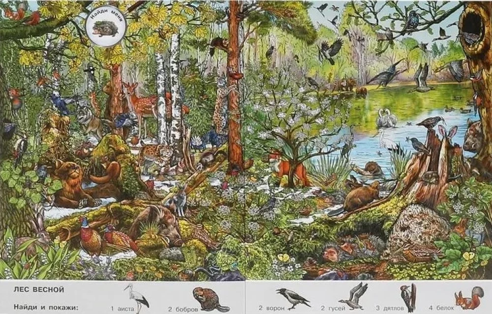 Seasons. Wimmelbuch. Find and Show