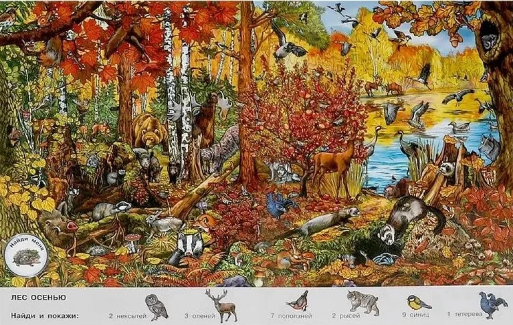 Seasons. Wimmelbuch. Find and Show