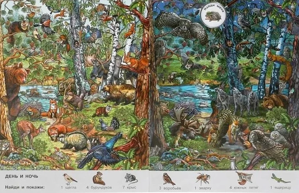 Seasons. Wimmelbuch. Find and Show