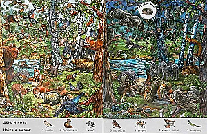 Seasons. Wimmelbuch. Find and Show