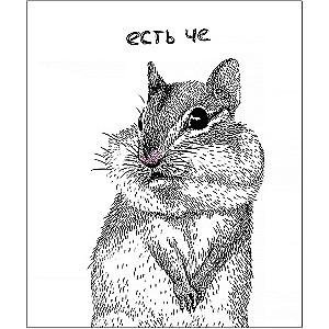 A5 Notebook - Jokes