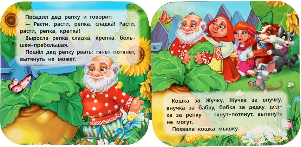 Accordion Book - The Turnip