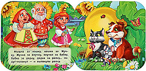 Accordion Book - The Turnip