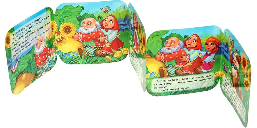 Accordion Book - The Turnip
