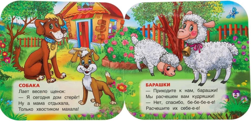 Accordion Book - Pets