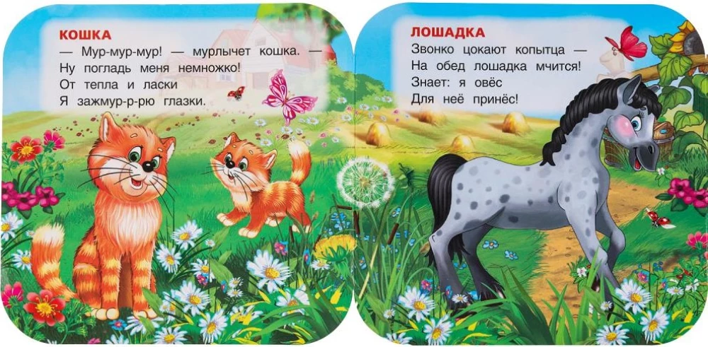 Accordion Book - Pets