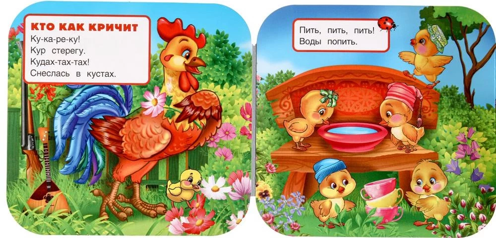 Accordion Book - Uti-Uti