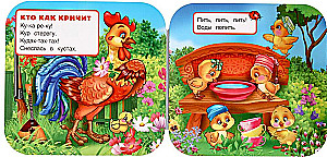 Accordion Book - Uti-Uti