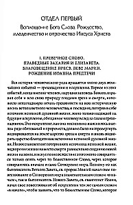 Interpretative Bible of Lopukhin. Biblical History of the New Testament. Book 2
