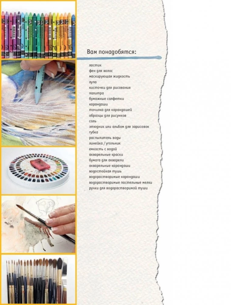 Watercolor Animals