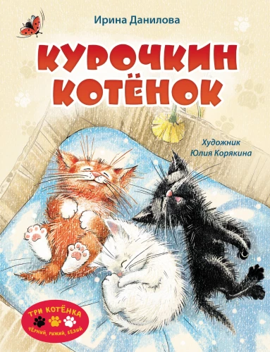 Kurichkin Kitten