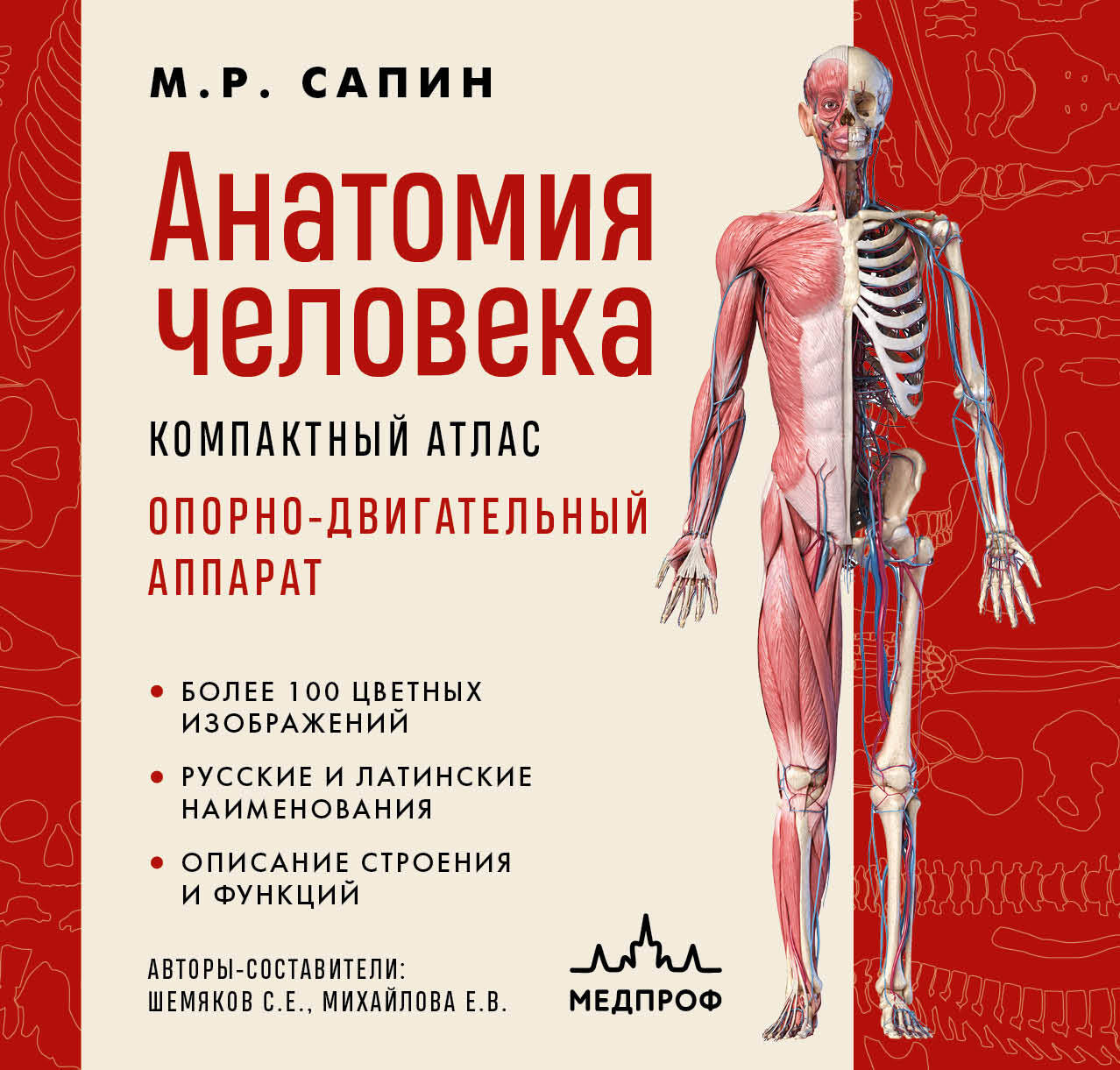 Anatomie des Menschen. Kompakter Atlas. Bewegungssystem