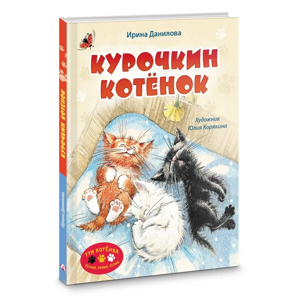Kurichkin Kitten