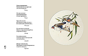 The World in a Raindrop. Autumn. Winter. Haiku for All Times
