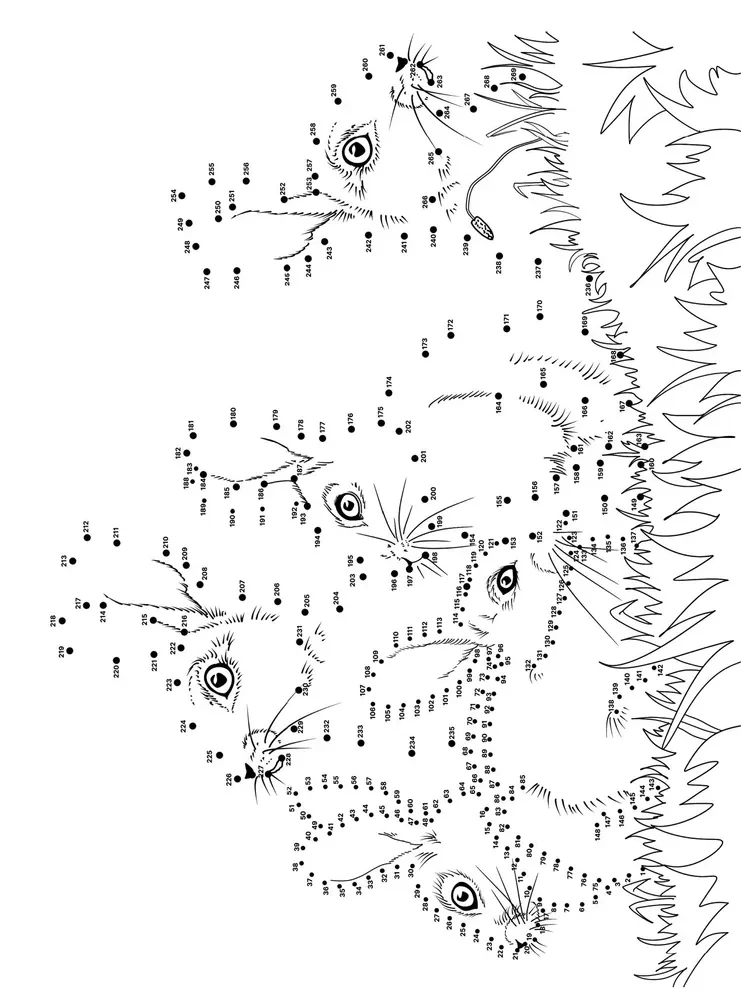 Animals. Drawing by Points