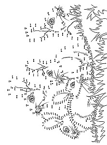 Animals. Drawing by Points