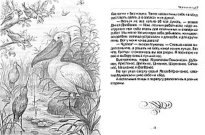 Miško nameliai