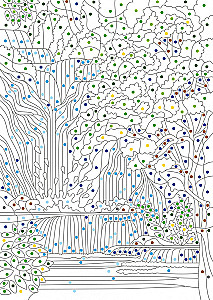 Mysterious Jungles. Colors, Symbols, Numbers