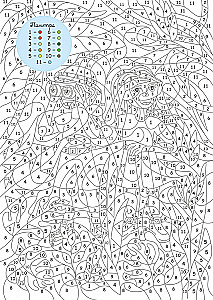 Mysterious Jungles. Colors, Symbols, Numbers