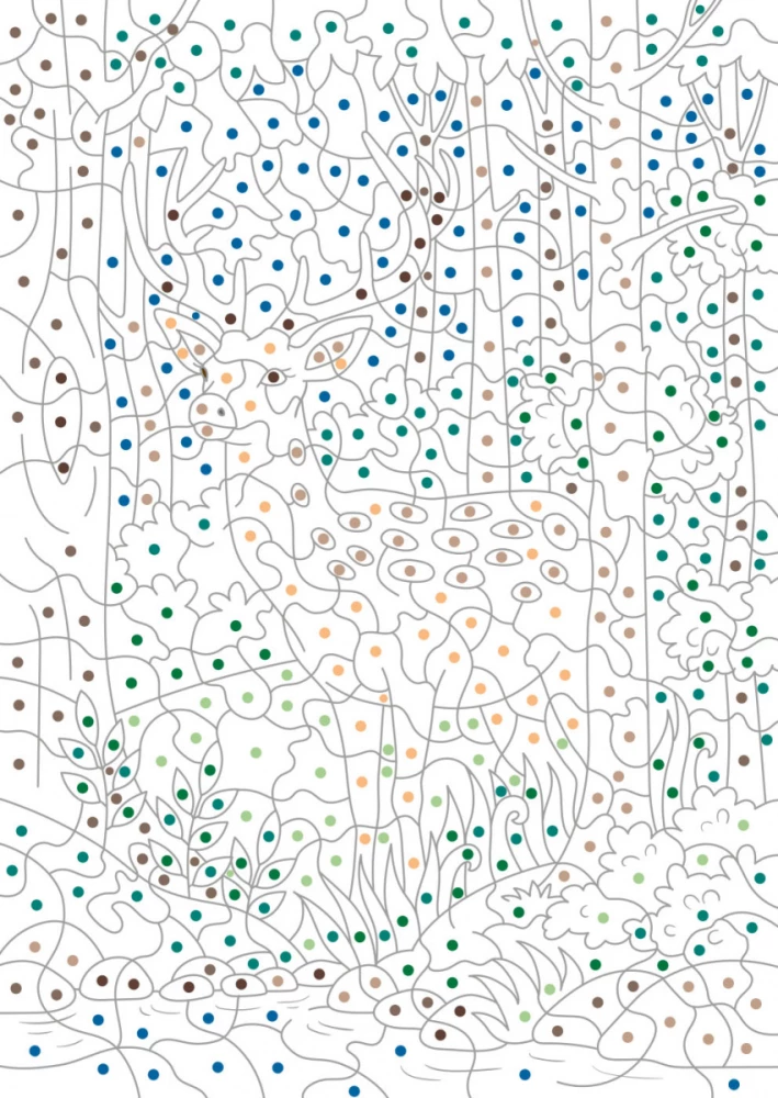 The Mysterious Forest. Colors, Symbols, Numbers