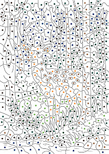 The Mysterious Forest. Colors, Symbols, Numbers