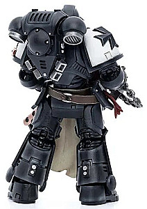 Figurine - Black Templars Primaris Initiate Brother Raemont
