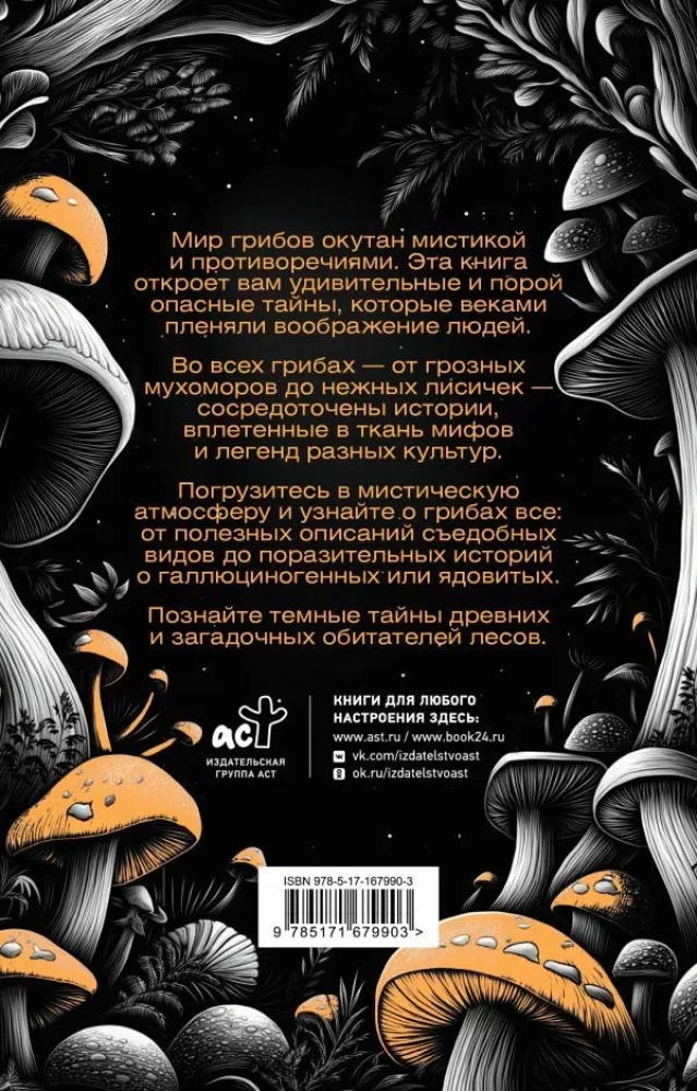 ЗаГРИБные истории. Тайны подземного царства