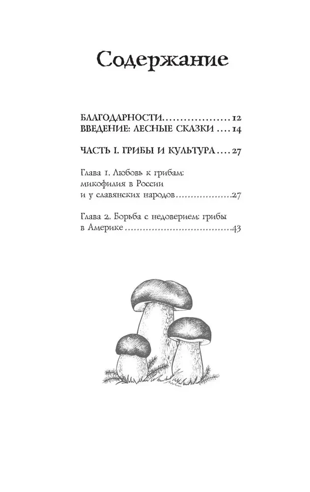 ЗаГРИБные истории. Тайны подземного царства