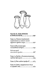 ЗаГРИБные истории. Тайны подземного царства
