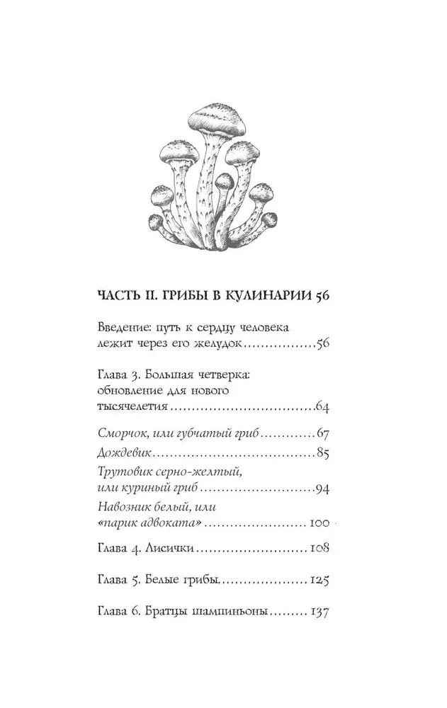 ЗаГРИБные истории. Тайны подземного царства