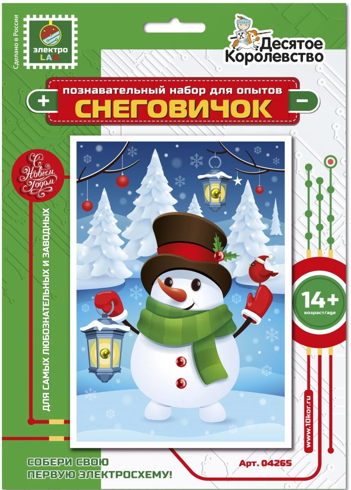 Experiment Kit - Snowman