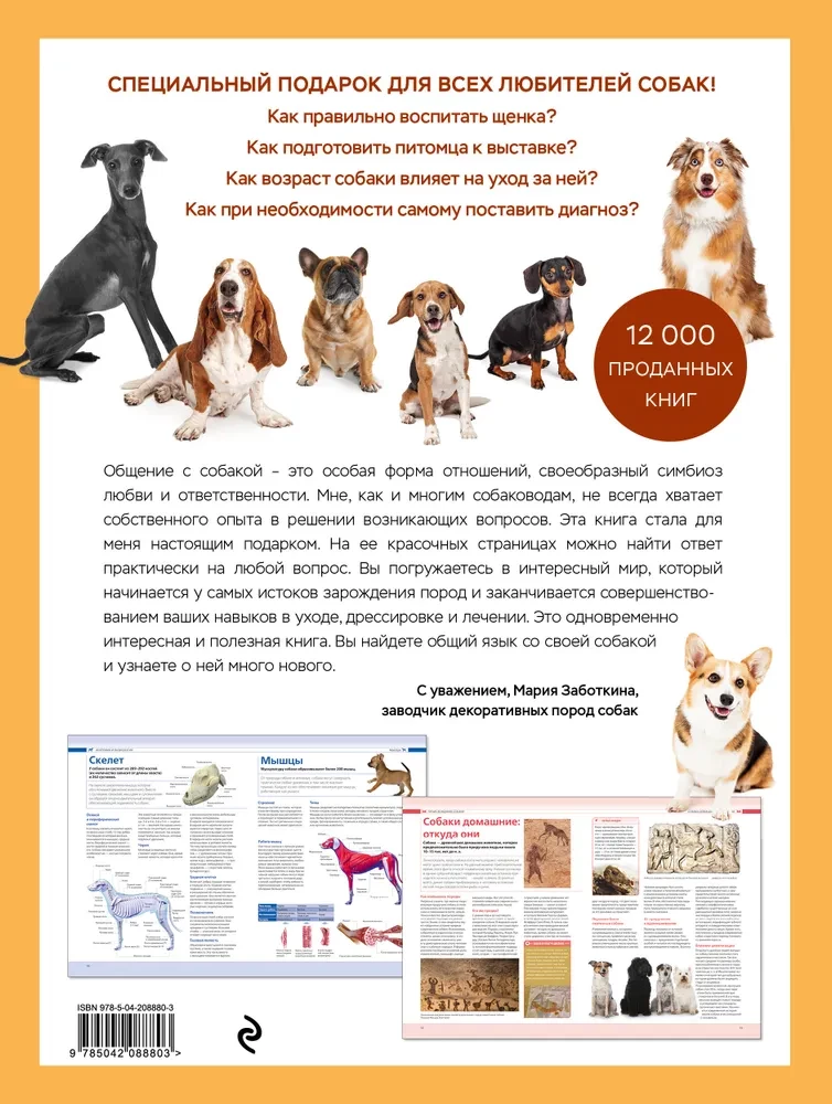 Dogs. Gift Illustrated Encyclopedia