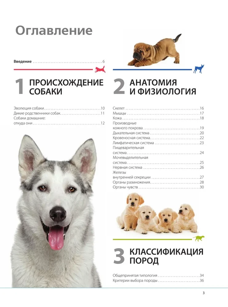 Dogs. Gift Illustrated Encyclopedia