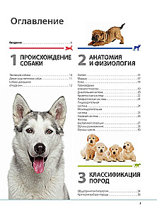 Dogs. Gift Illustrated Encyclopedia