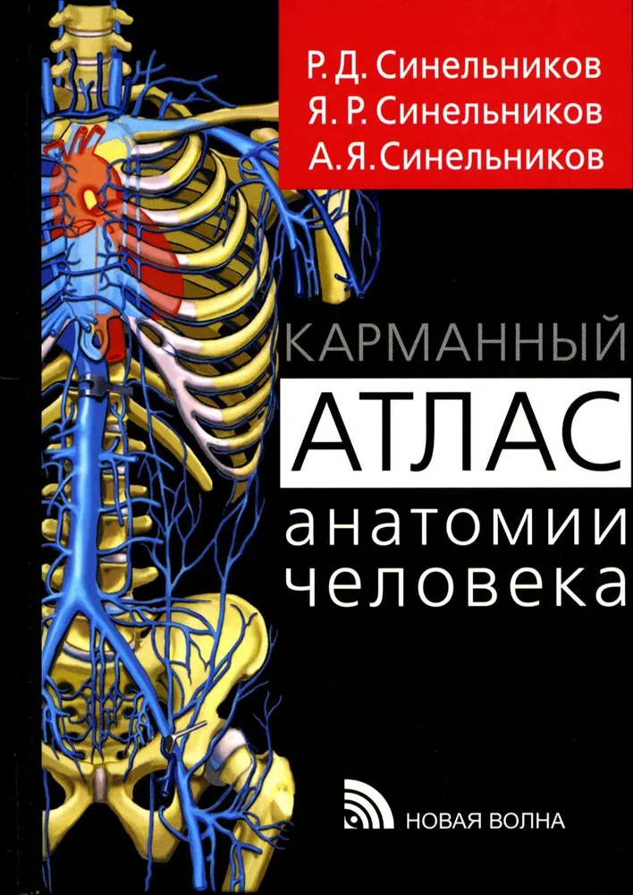 Kieszonkowy atlas anatomii