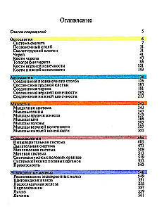 Pocket Atlas of Anatomy